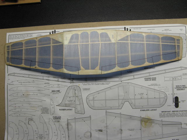 9, Wing, bottom covered.JPG