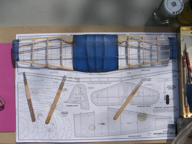 7, Wing, covering center section.JPG