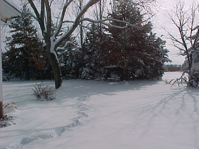 12-13-03-2.jpg