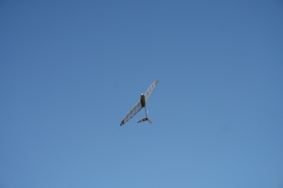 20070630 0113