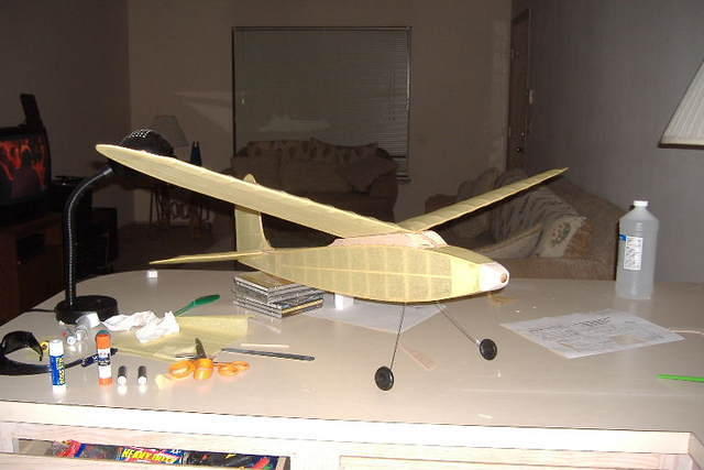2007 0612gulldun0005
