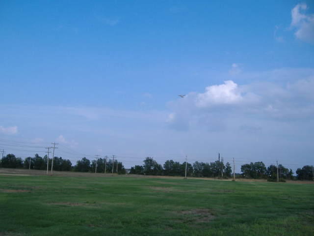 2007 0903flyinggull0014