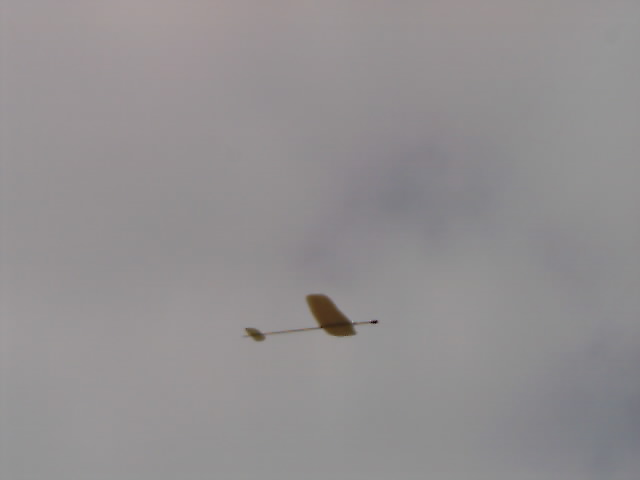 6glide