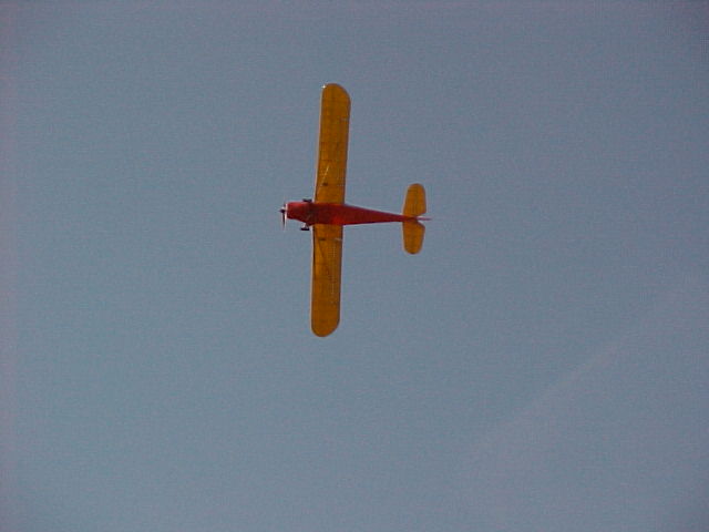 AC-290