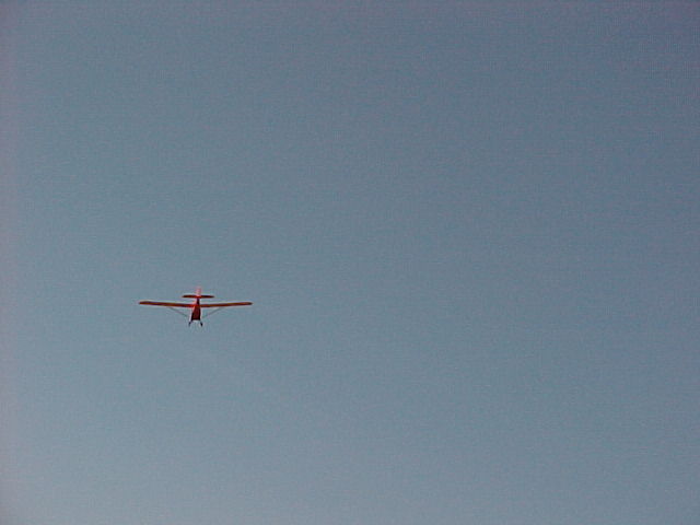 AC-293