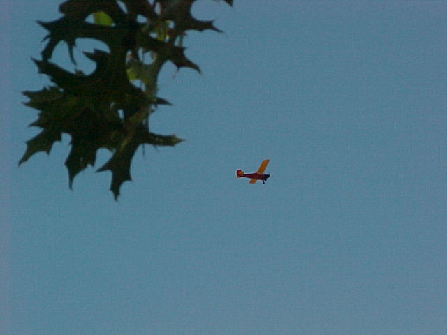 AC-423o