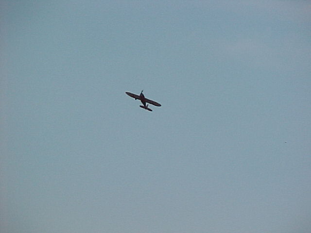 A 79848149