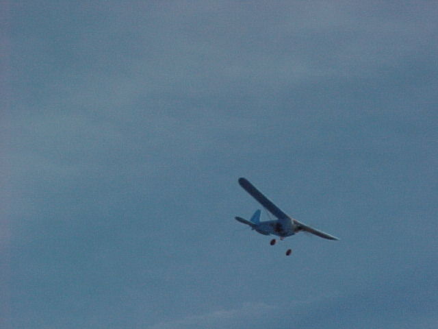BBC-19