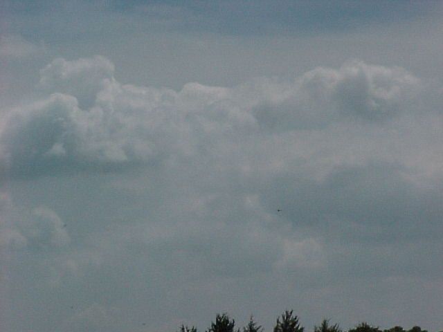 BC-76.jpg