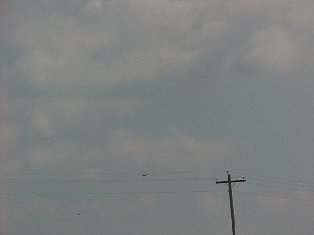 BC-77.jpg