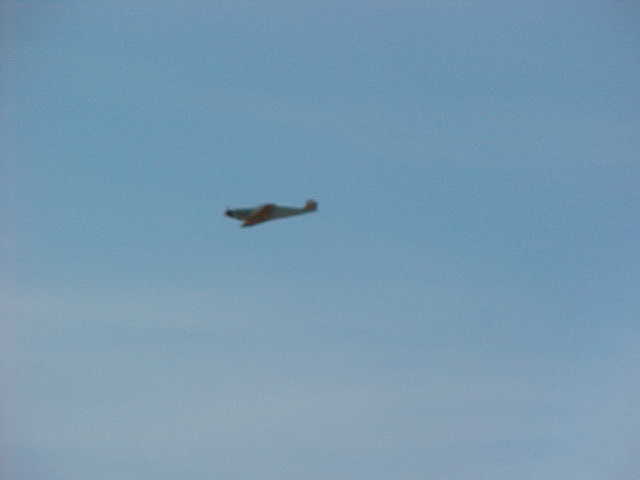 BF-109-95q