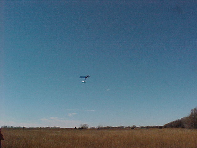 BMT-7