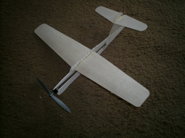 Barracuda 1