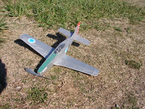 Baxp51 2