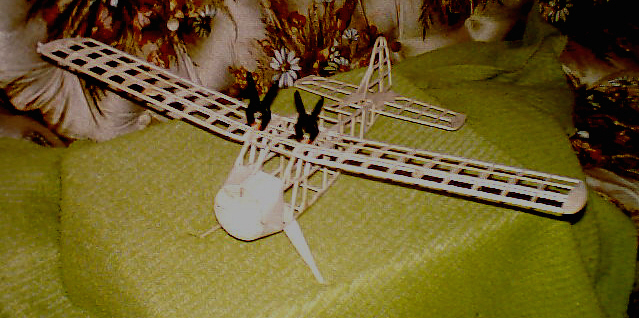 Beaver Bones 1
