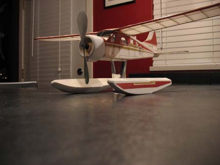Beaver 01
