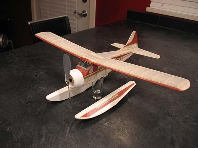 Beaver 02