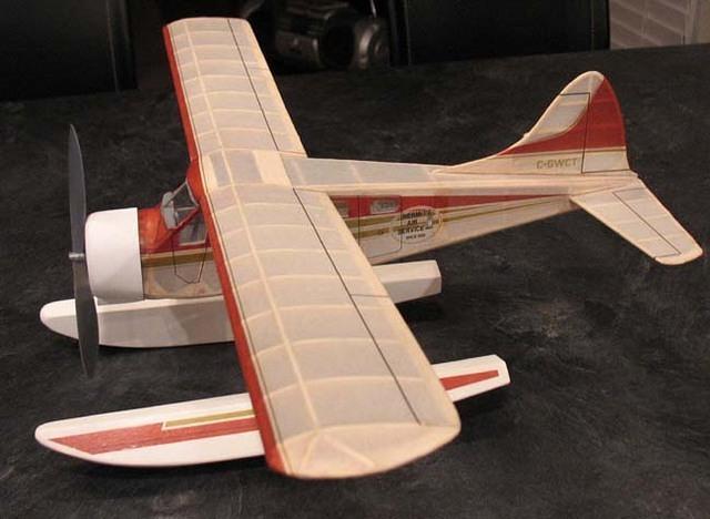 Beaver 03