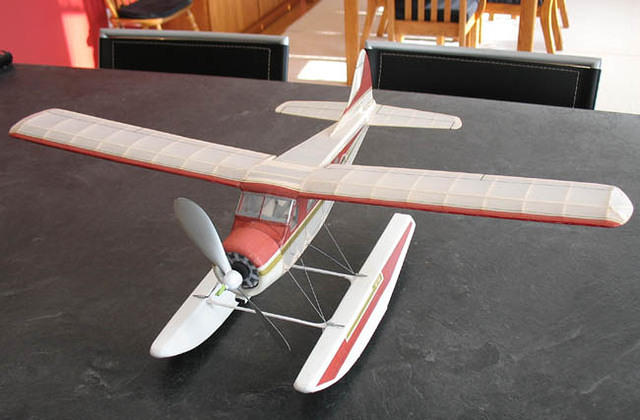 Beaver 10