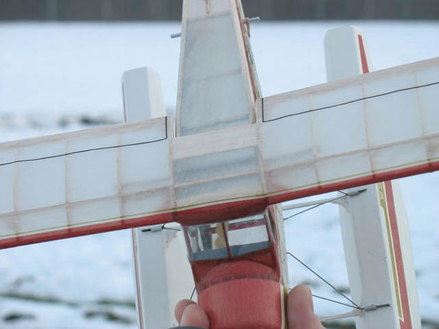 Beaver 16