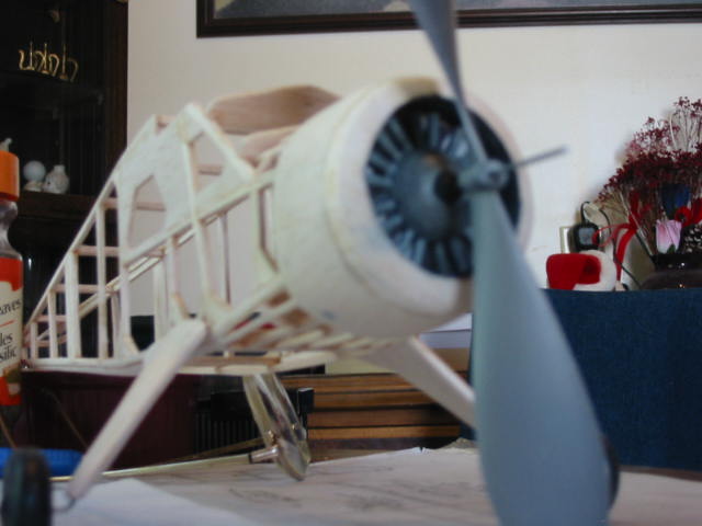 Beaver fuse 020