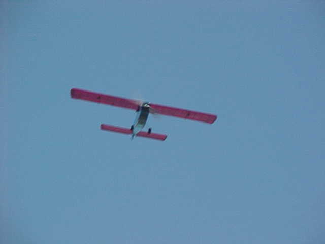 Bgl-242t
