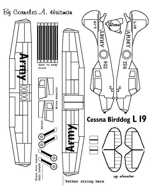 BirdDog-3