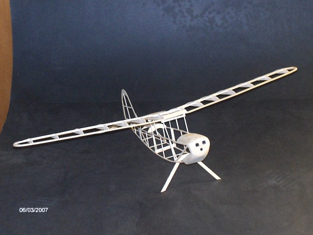 Bird Dog 003