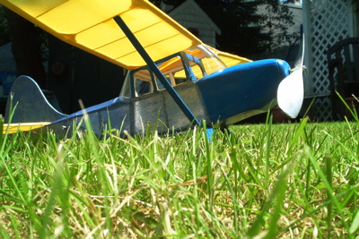 Birddog3 001