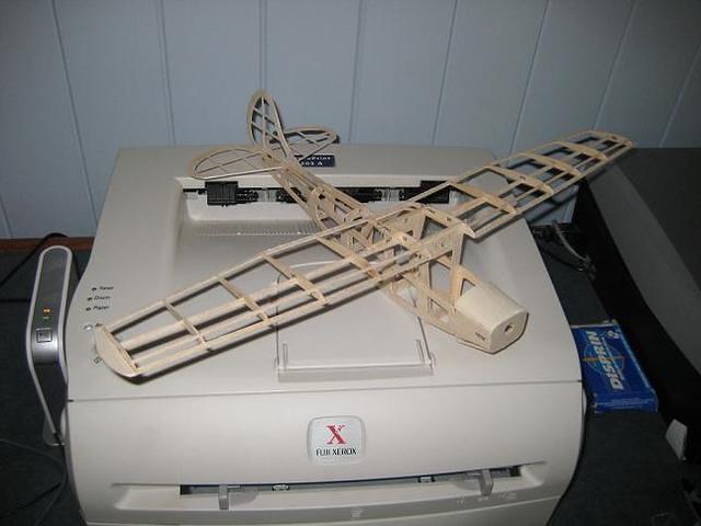 Birddog 000