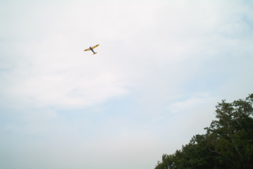 BirddoginFlight