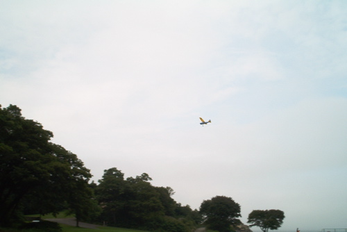 BirddoginFlight2