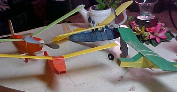 Birds 