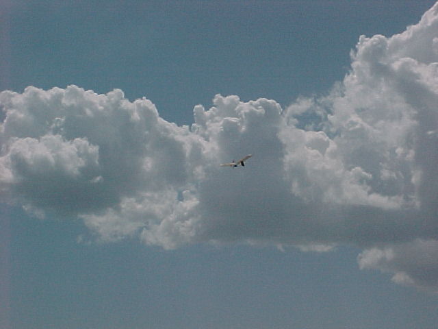 Bleriot III-10