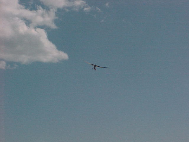 Bleriot III-9