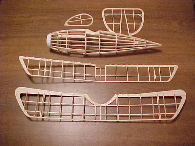 Bones1