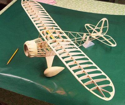 BonesMonoc(1)