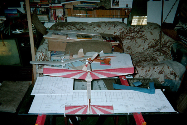 Brad s Minnie Hobbies 2a