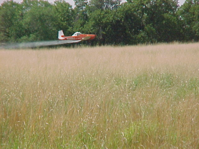 CD-21