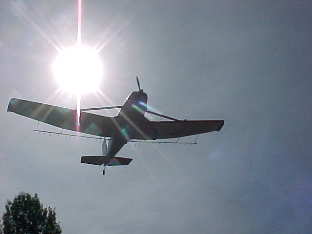 CD-23