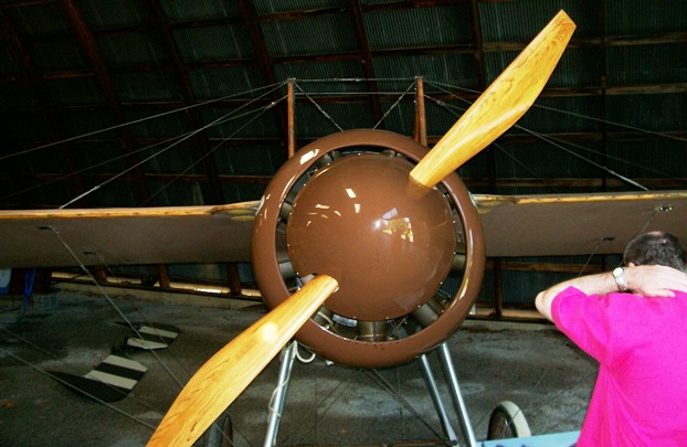 D3 001