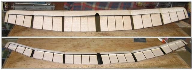 DLG proto 3