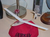 #MicroSailplane