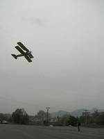 $ d.h.tigermoth