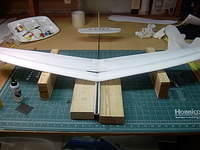 11wingon