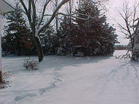12-13-03-2.jpg
