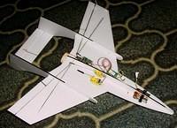 12inch Alley Cat 002a