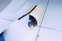 12inch Alley Cat 007a