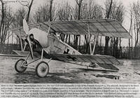 1917.Euler.D.II