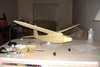 2007 0612gulldun0005